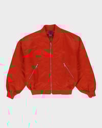 Image 2 of Orange Bomber