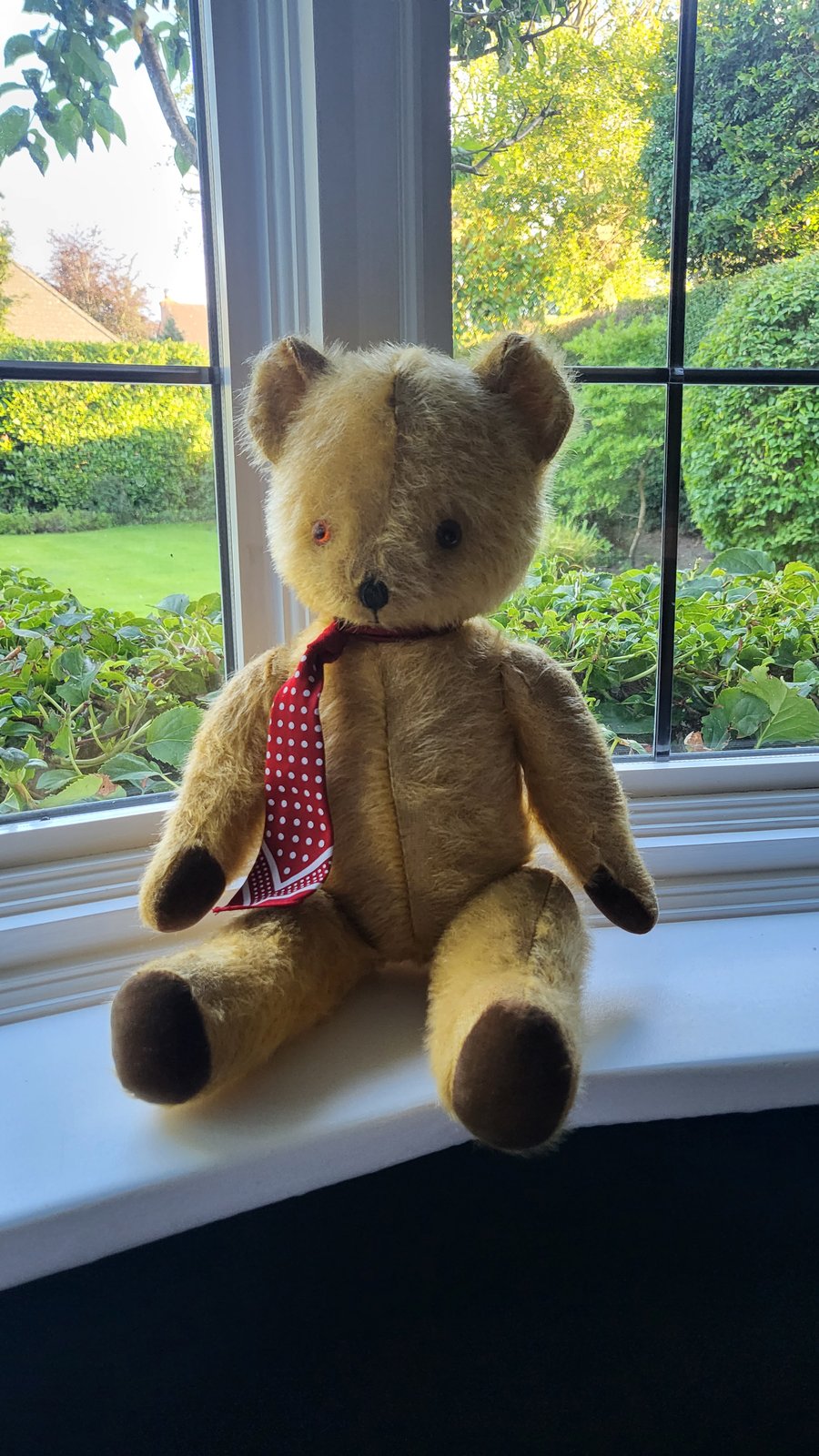 Teddy Bear Hospital Repairs | Ted's Bears