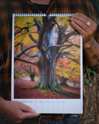 Image 4 of Markus Stock Photography Calendar 2024