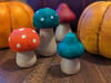 Magic Toadstools