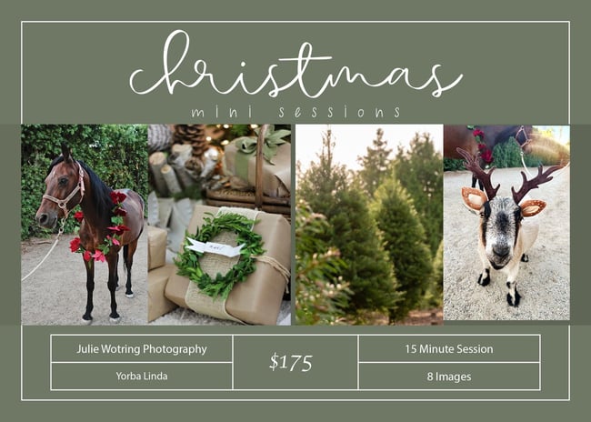 Christmas Minis on the Farm