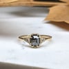 Sybil Ring