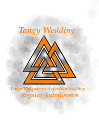 Tangy Wedding