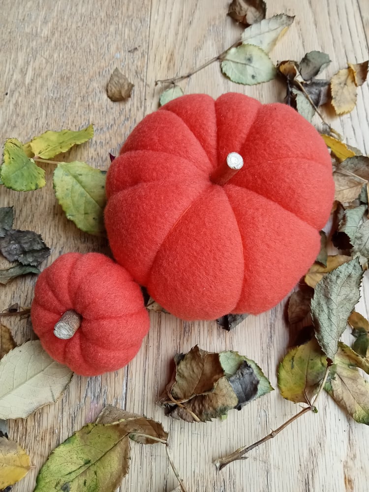 Image of Pair of Pumpkins 