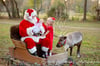 Santa & His Live Reindeer