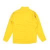 Arc'teryx Delta Waffle Half Zip Fleece - Yellow