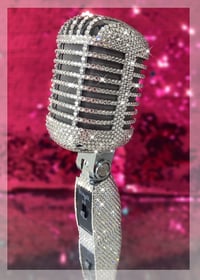 Image 1 of Crystallised Stagg SDM100 Retro Mic 