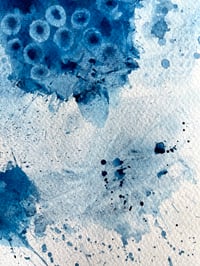 Image 2 of Parasitt