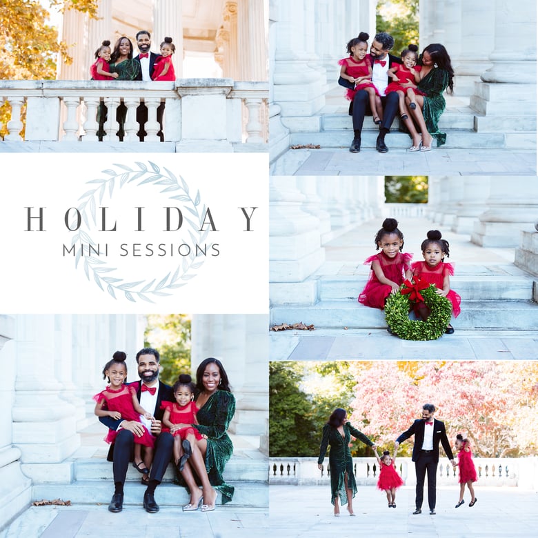 Image of Washington DC National Mall Mini Sessions  -  Black Friday 11/22/24 & Sunday 11/24/24