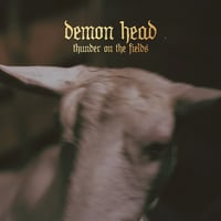 Image of Demon Head "Thunder On The Fields" LP