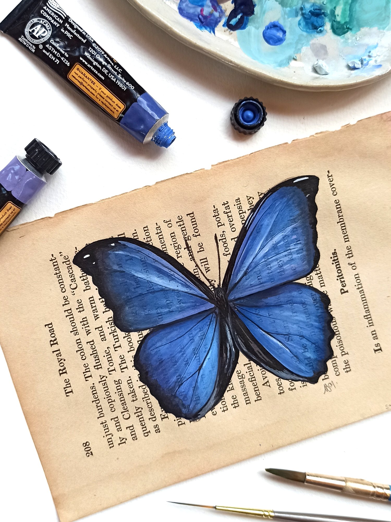 Image of Life in Old Pages Insect n.18 Morpho Butterfly 