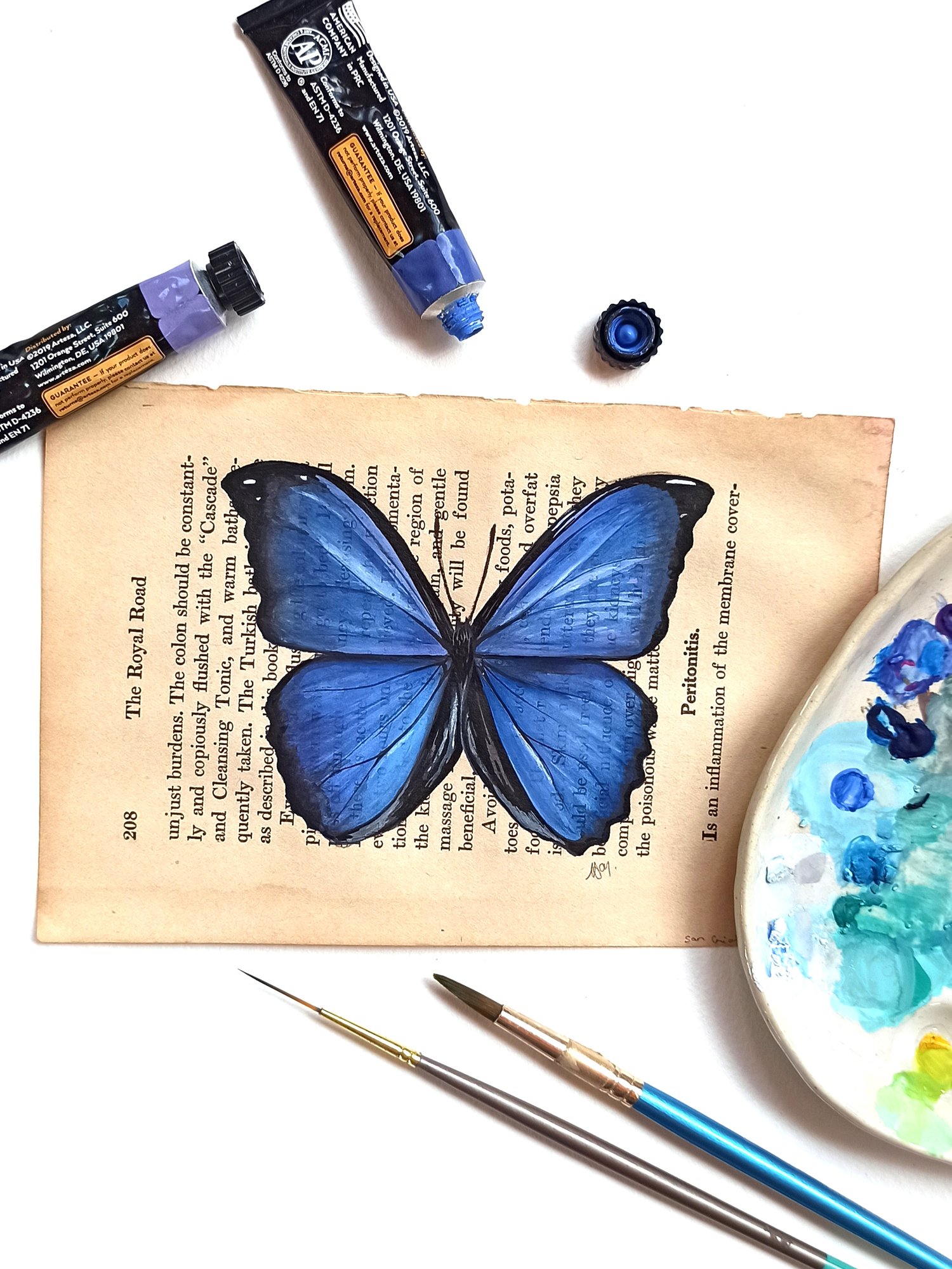 Image of Life in Old Pages Insect n.18 Morpho Butterfly 