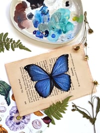 Image 4 of Life in Old Pages Insect n.18 Morpho Butterfly 