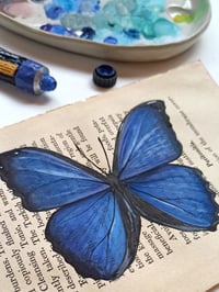 Image 5 of Life in Old Pages Insect n.18 Morpho Butterfly 