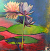 International Lily Pond Prints
