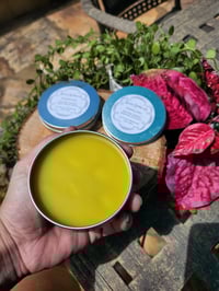 Image 2 of Dandelion Salve