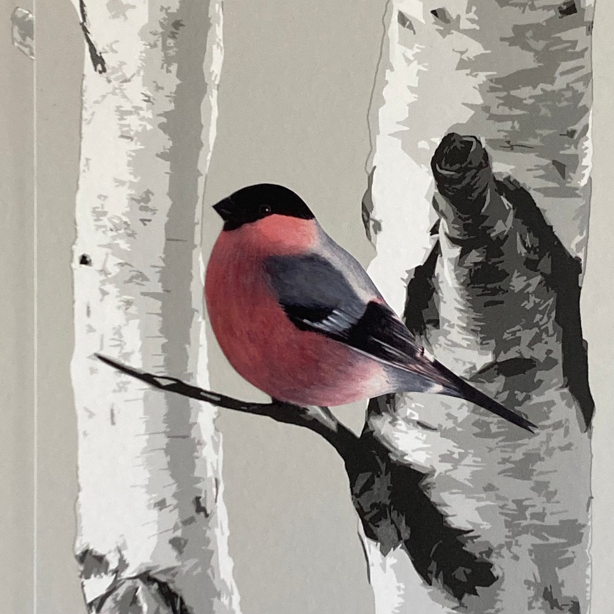 Image of Bully Bullfinch ~ Removable Wall sticker