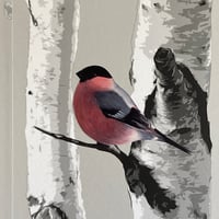 Image 1 of Bully Bullfinch ~ Removable Wall sticker