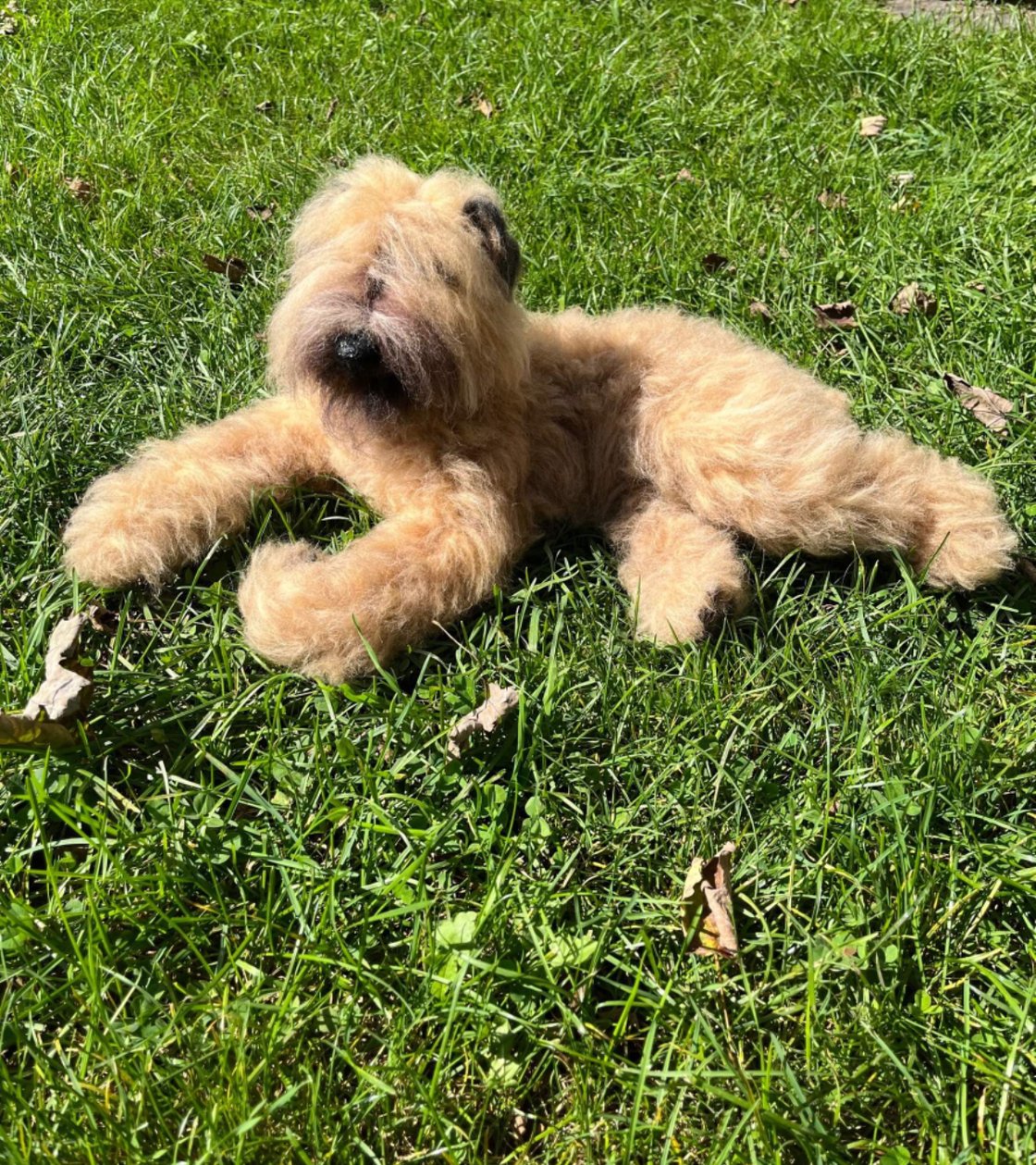 Image of 15" Fawn Bouvier