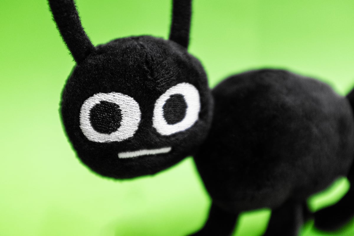 Image of Grumpy Ant 