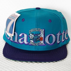 Image of Charlotte Hornets Logo7 Vintage Snapback Hat