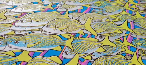 Image of A School off Isla Mujeres