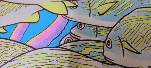 Image of A School off Isla Mujeres