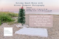 Image 2 of  Sunday 10/15 - Beach Holiday Mini Sessions
