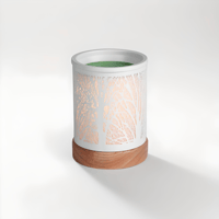 WAX WARMER + FREE ✈️