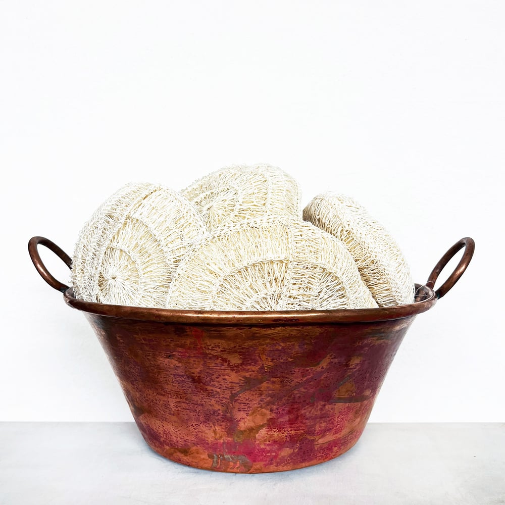 Image of Crocheted Agave Exfoliating Body Sponge