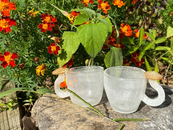 Image of Mushroom teacup sets