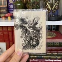 Image 1 of Cheshire Cat, Alice in Wonderland Book Page Card Wallet