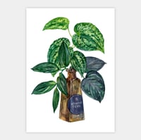 Image 1 of Midnight Tears Original Artwork