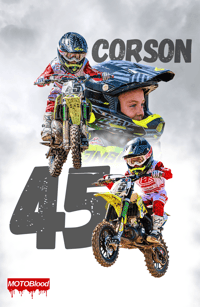 Image 2 of *CUSTOM* Rider Posters