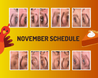 November Schedule for PMU Services