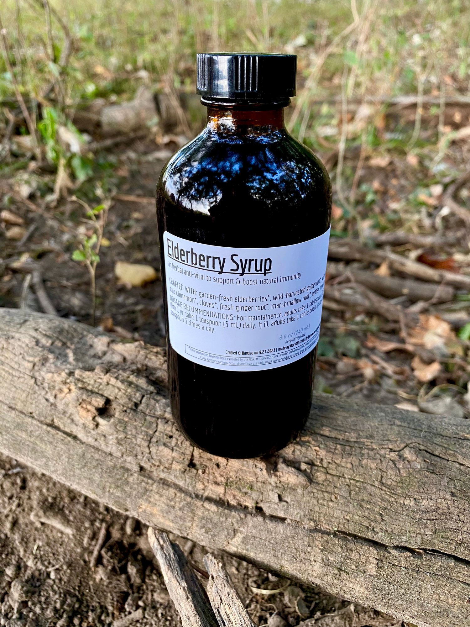 Elderberry + Mushroom Syrup | Our Off Grid Life Farm Store