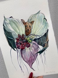 Image 3 of Bat Plant Original Artwork