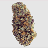 Forbidden Fruit 7 gm 