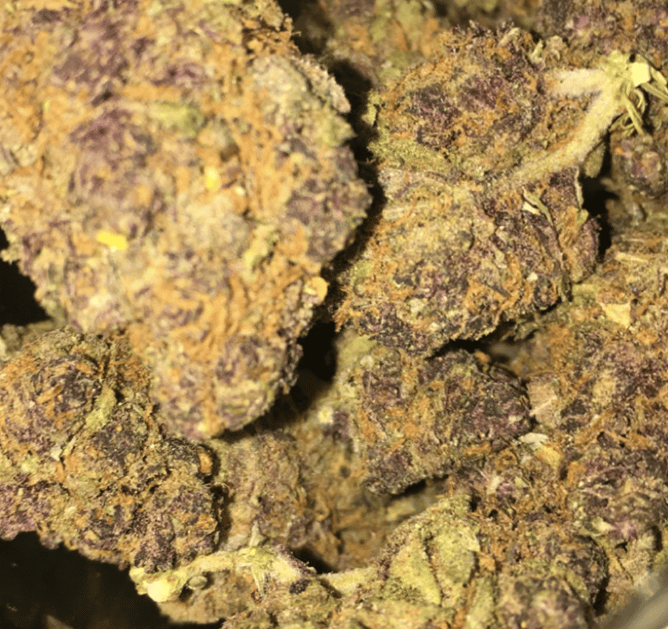 Good indoor ( some seeds) 7 gm