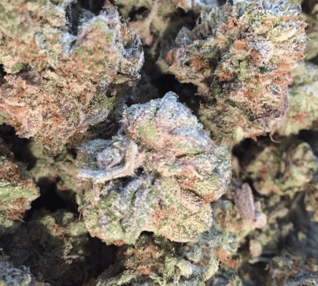 Purple punch 7 gm