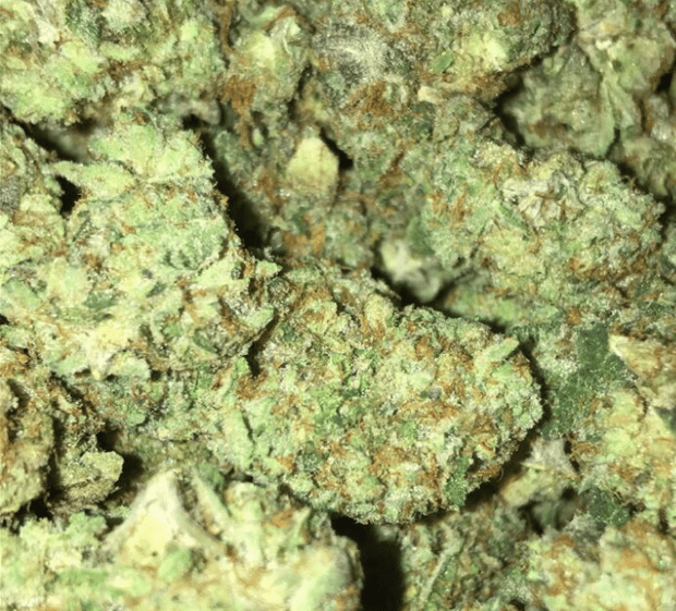 Zkittles 7 gm