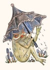 Toad Parasol 5 X 7 Giclee Print