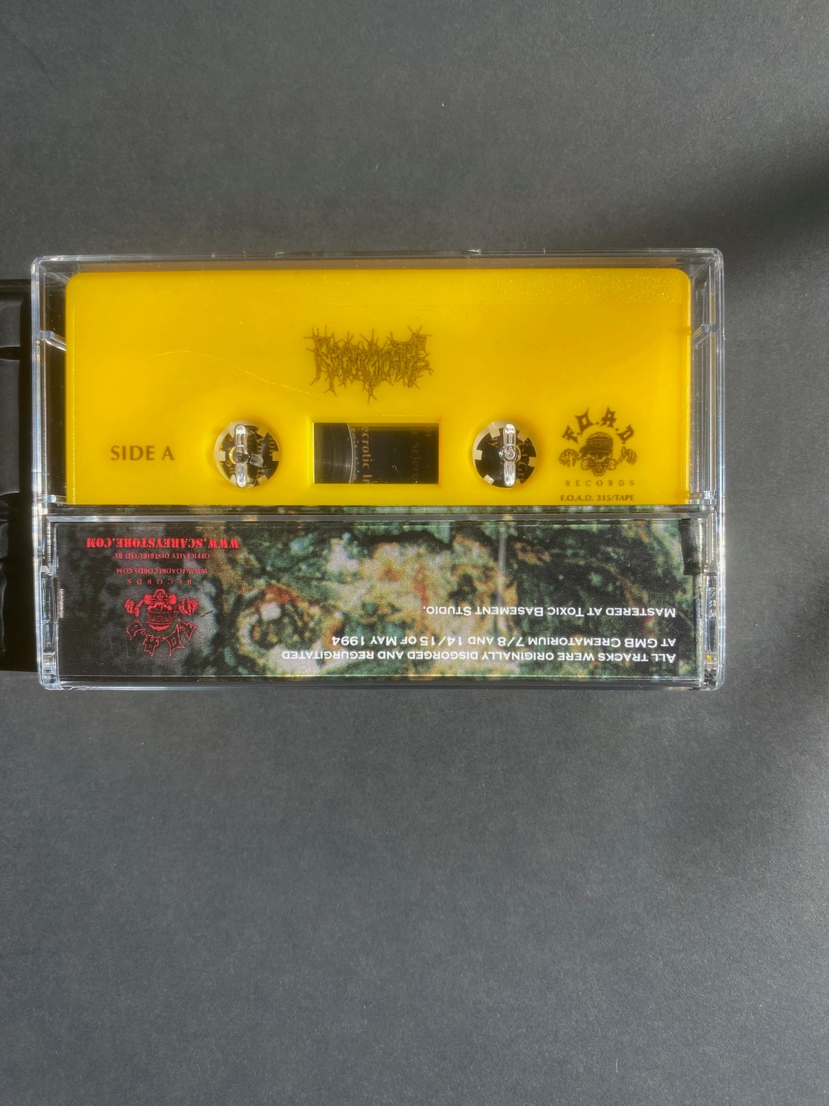 Regurgitate-Effortless Regurgitation of Bright Red Blood