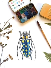 Image 1 of Blue Longhorn Beetle ORIGINAL ARTWORK 