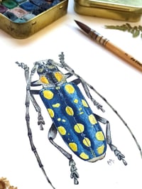 Image 3 of Blue Longhorn Beetle ORIGINAL ARTWORK 