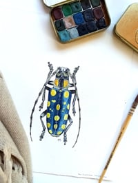 Image 4 of Blue Longhorn Beetle ORIGINAL ARTWORK 