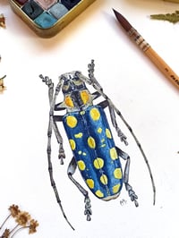 Image 5 of Blue Longhorn Beetle ORIGINAL ARTWORK 