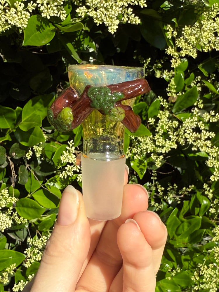 Image of Fantasy Forest 18 mm Slide  #1