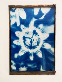 Image 2 of Cyanotype sur verre de Passion