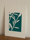 Willow 02 - A4 Original Botanical Monoprint - Blue 